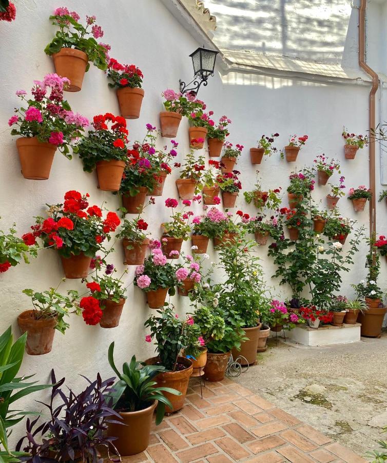 Amal Casa De Huespedes Apartment Córdoba Exterior foto